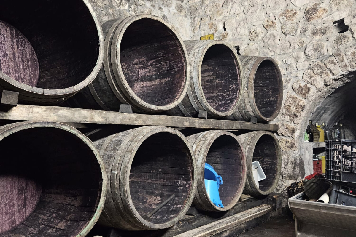Wine cellar - Chestnut barrels