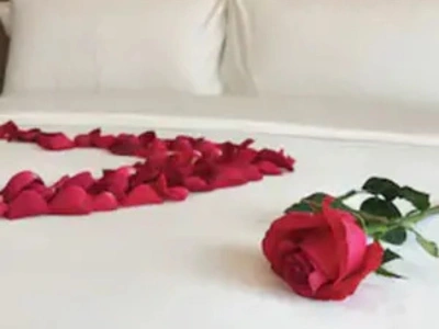 Rose petal heart romantic room farmhouse